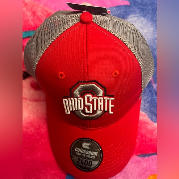 NWT - OHIO STATE BUCKEYES CHAMPION SNAPBACK HAT - Picture 4 of 4